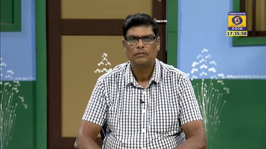 A man in glasses and a checkered shirt sits in front of a backdrop, looking directly at the camera. The DD Odia logo and time are displayed in the top right corner.
