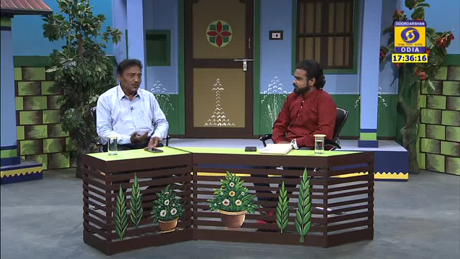 Two men sit at a desk decorated with painted plants, engaged in conversation on a DD Odia set. The time is 17:36:16, as shown on the screen behind them.
