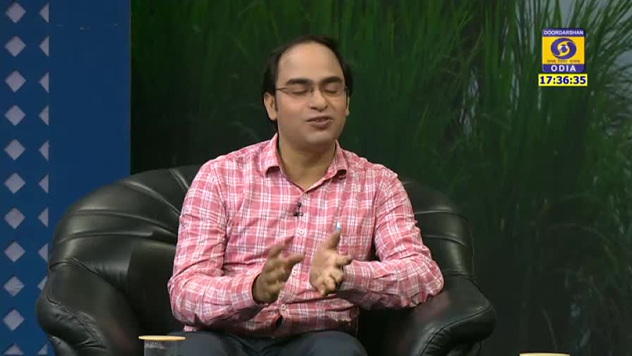 The man in the pink plaid shirt gestures with his hands as he speaks. A DD Odia logo is visible in the corner, and the time reads 17:36:35.
