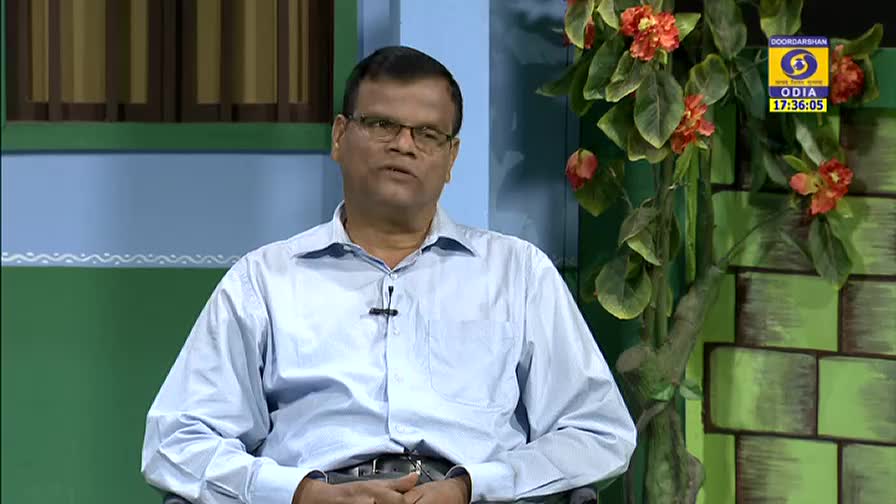 A man in a light blue shirt and glasses is speaking, seated in front of a backdrop with a DD Odia logo visible. The time on the screen reads 17:36:05, and a decorative plant is to his right.
