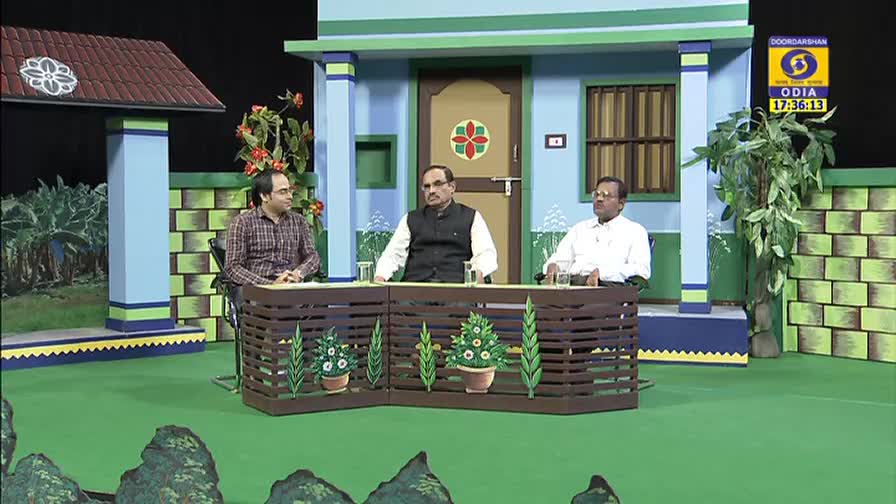 Three men sit behind a decorative desk on a set designed to look like a house, the DD Odia logo visible in the corner. The man in the middle wears a vest, and the one on the right has a white shirt; they seem to be part of a panel.
