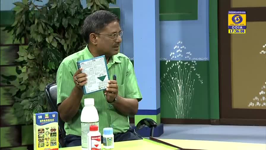 A man in a green shirt holds up a pamphlet while seated at a table with bottles of pesticides on it. Behind him, the DD Odia logo and a clock display the time.
