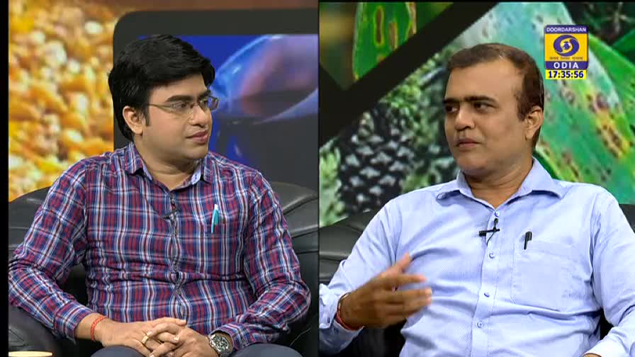 Two men sit facing each other, engaged in conversation on a DD Odia broadcast. The man on the right gestures with his hands while the other listens intently.

