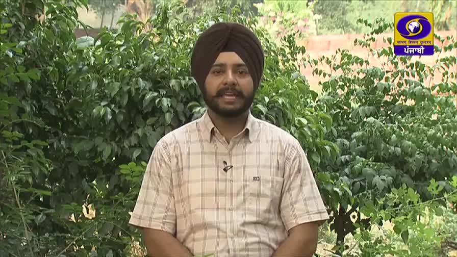 A man in a turban and collared shirt stands before a backdrop of lush greenery, speaking directly to the camera. Behind him, the DD Punjabi logo is visible.
