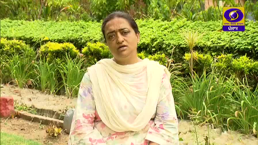 A woman in a floral print top and a cream-colored scarf is speaking, likely for DD Punjabi. Behind her, neatly trimmed greenery forms a backdrop for the broadcast.
