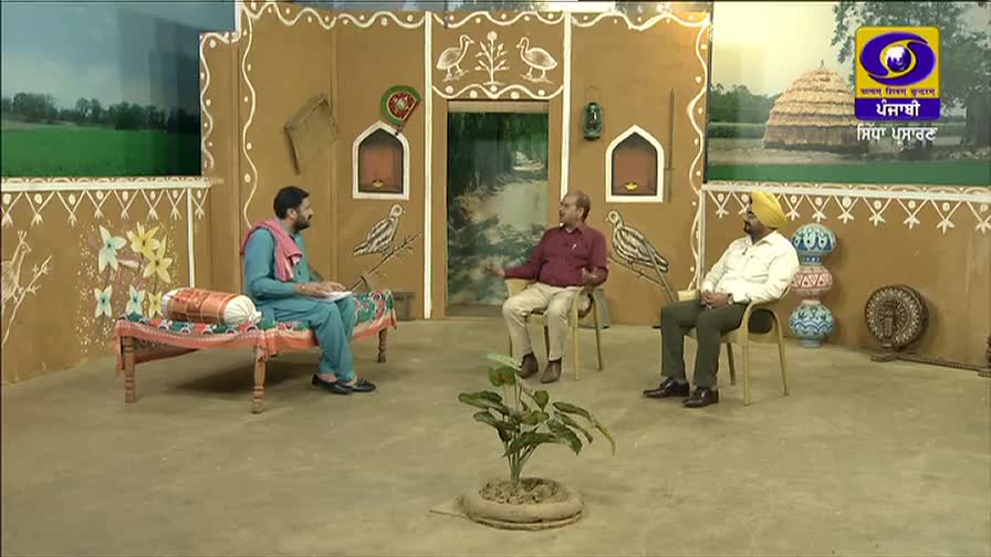 Three men are seated on a set decorated to resemble a rural Indian home, with the DD Punjabi logo visible on the screen behind them. The man in the center gestures animatedly as he speaks, while the others listen.
