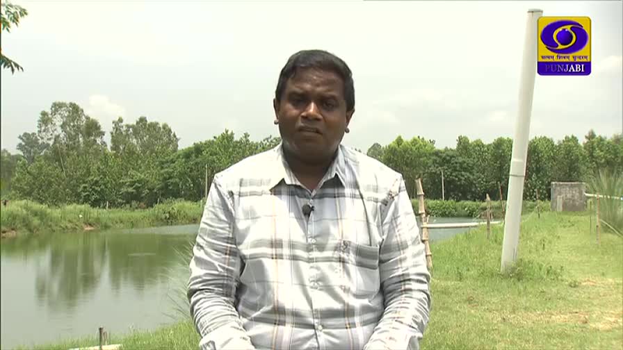 A man in a checked shirt stands in front of a pond, speaking into a microphone. The DD Punjabi logo is visible on a pole to his right, suggesting a broadcast from India.
