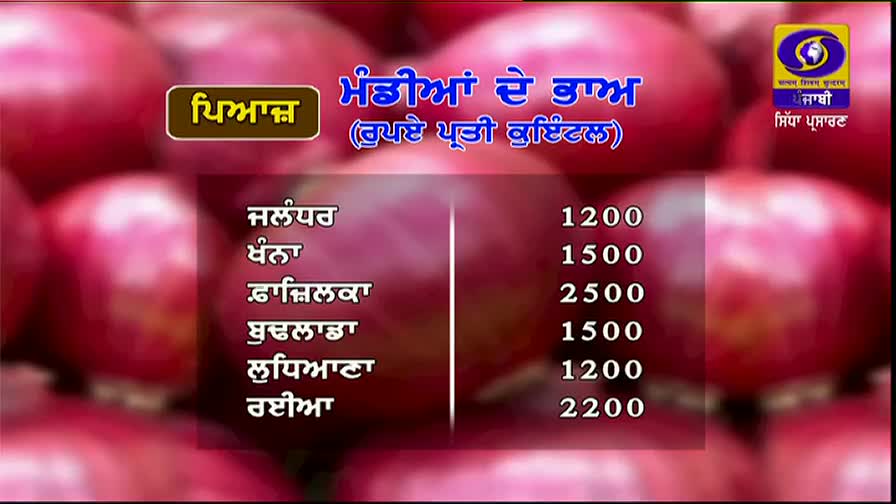 On DD Punjabi, a graphic shows the price of onions in different markets. The prices, listed in rupees per quintal, are displayed against a backdrop of red onions.
