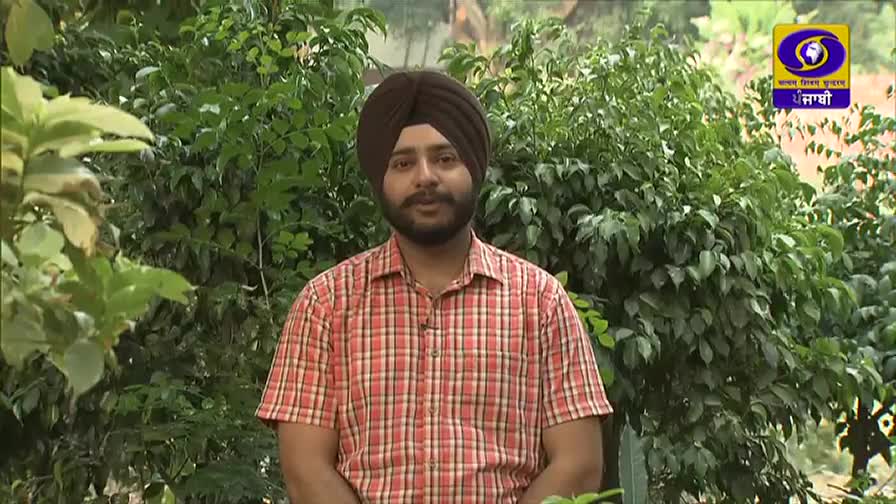A man in a turban and a plaid shirt stands in front of lush green foliage. The DD Punjabi logo is visible in the corner, suggesting a broadcast from India.

