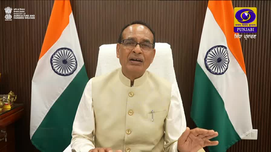 A man in a light vest speaks, gesturing with his hands, the Indian flag framing him on either side. The DD Punjabi logo is visible, and the broadcast is clearly coming from a studio.
