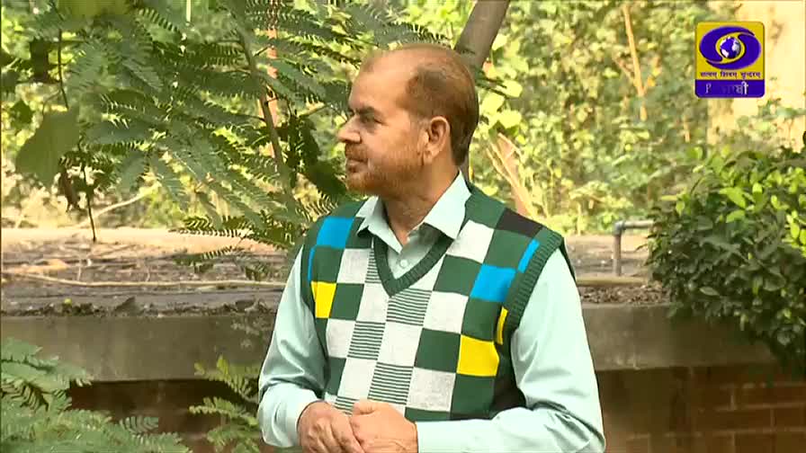 A man in a checkered sweater vest is looking off-camera, probably mid-interview. The DD Punjabi logo is in the corner, and the backdrop is a mix of greenery and a low wall.
