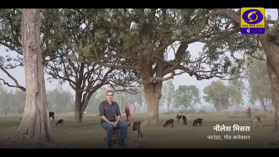 A man sits under a large tree in a field. Goats graze nearby as a person in red walks in the background. The DD Punjabi logo is visible in the upper right corner.