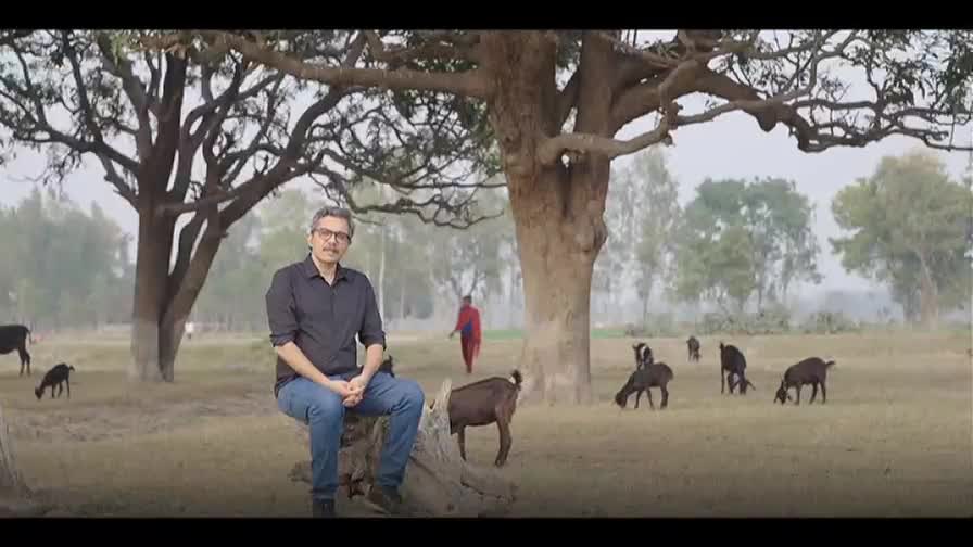 A man sits on a log under a large tree while goats graze in the field around him. In the distance, a woman in a red salwar kameez walks across the dusty ground.