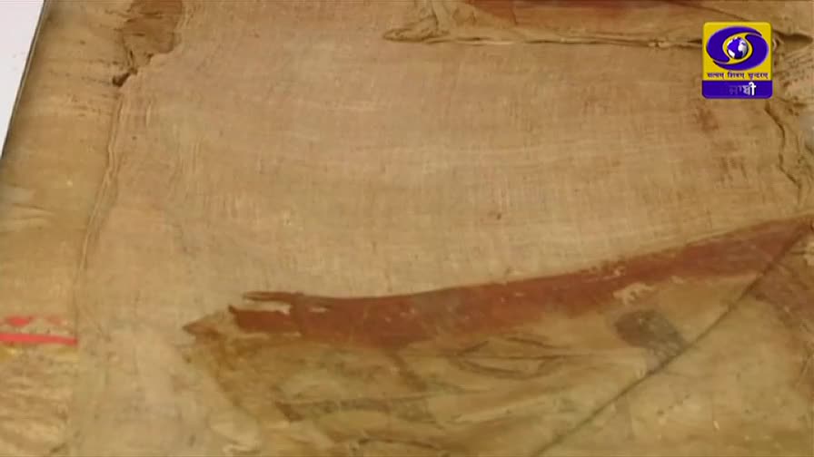 A faded, tan fabric displays a rough, reddish-brown stripe across its surface. The DD Punjabi logo sits in the upper right corner.