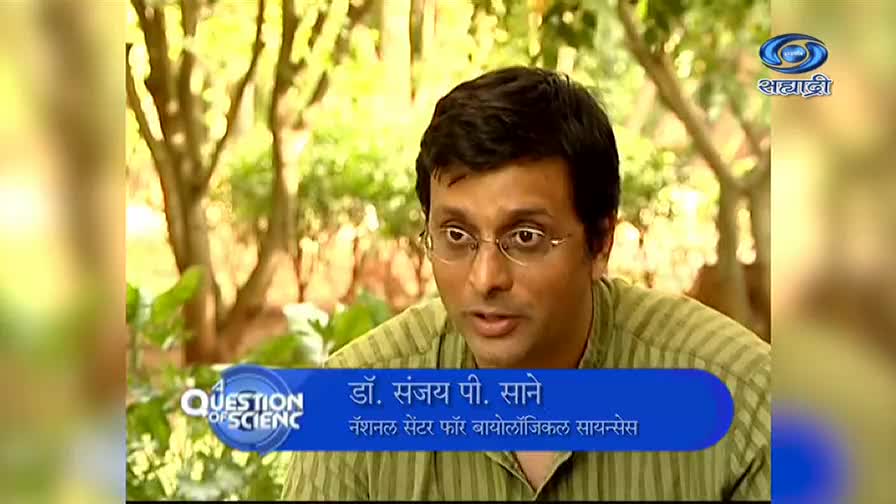 A man with glasses is speaking, his face framed by leafy trees, likely on a DD Sahyadri program. The "Question of Science" logo and his name are displayed on a blue bar below.
