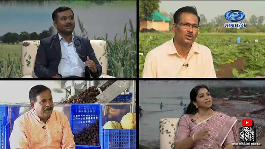 Four different segments are playing simultaneously on the DD Sahyadri channel, each featuring a person discussing something related to agriculture. The bottom left corner shows a man in an orange shirt, with what looks like a processing machine and crates of produce.
