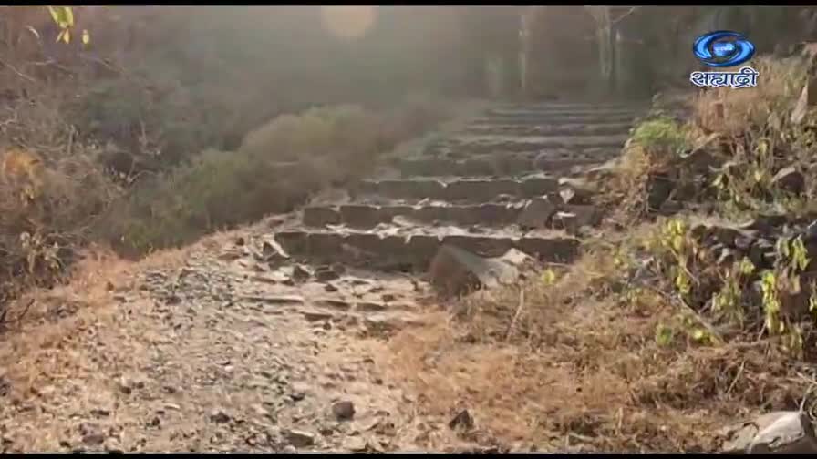 A worn stone path leads up to a set of crumbling steps, the sunlight filtering through the trees. The DD Sahyadri logo is visible in the corner, broadcasting from India.
