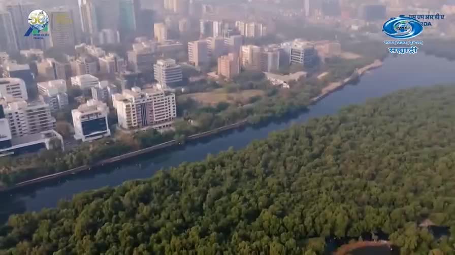 The river winds through a dense green forest, separating it from a cluster of modern buildings. A DD Sahyadri logo is visible in the upper right corner.