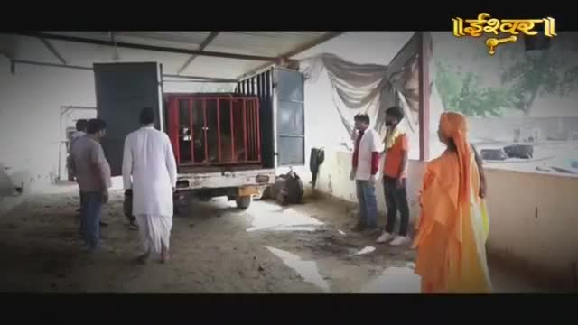 A truck is backed into a building, its rear doors open to reveal a large cage. Several men in casual clothing and two in white coats stand nearby, observing the scene. A person in an orange robe turns away from the camera, facing the truck.