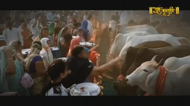 A crowd of people, many in colorful saris, gather around a line of cows. Some individuals are holding plates, and a few cows wear festive red collars. The Ishwar Bhakti TV logo is visible in the corner.