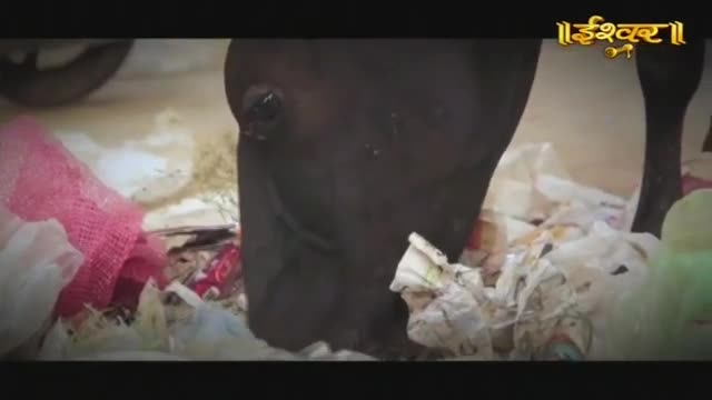 A dark, muscular leg stands amidst a heap of plastic bags and discarded items. The Ishwar Bhakti TV logo appears in the upper right corner.