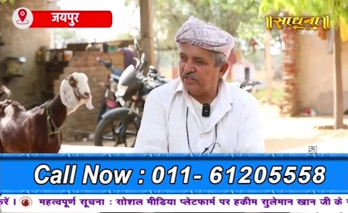 A man in a turban speaks into a microphone, likely for a program on Sadhna. A goat with a distinctive white face stands nearby, and a phone number flashes on the screen.
