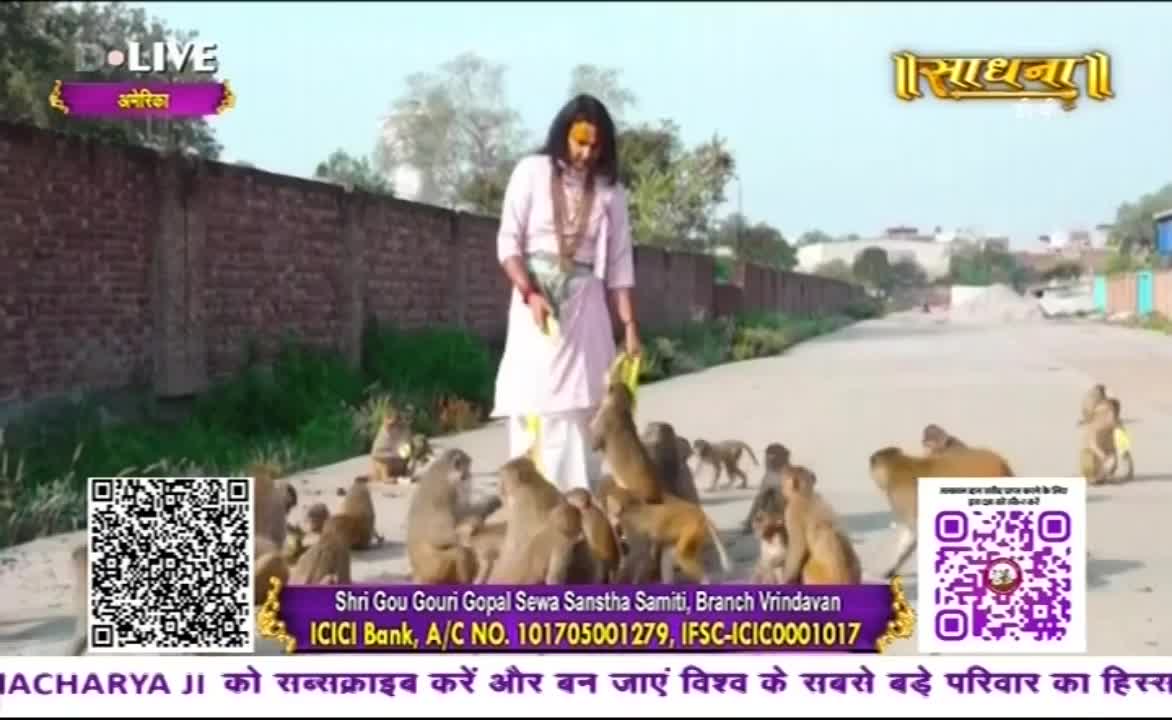 A man in white robes stands on a road in India, offering food to a crowd of monkeys. They reach up, eager for the treats he's holding.
