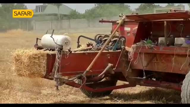 A red baler churns out a tightly packed bale of straw. The machine, likely part of a Safari TV segment, is working its way through a dry field.