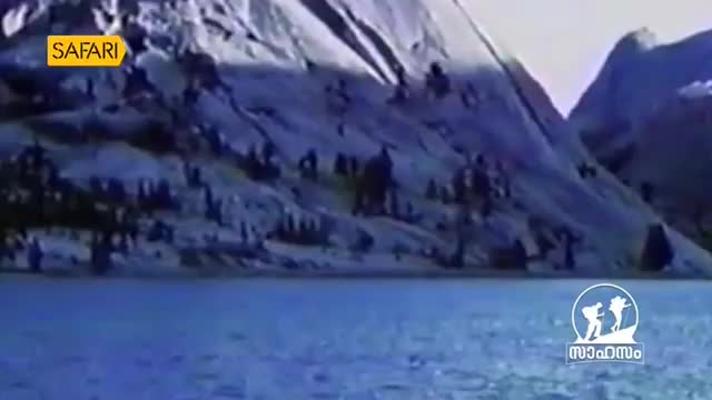 A vast expanse of blue water stretches before a jagged, snow-capped mountain range. Silhouettes of people are scattered across the lower slopes, appearing to trek through the rugged terrain. A vast expanse of blue water stretches before a jagged, snow-capped mountain range. Silhouettes of people are scattered across the lower slopes, appearing to trek through the rugged terrain.