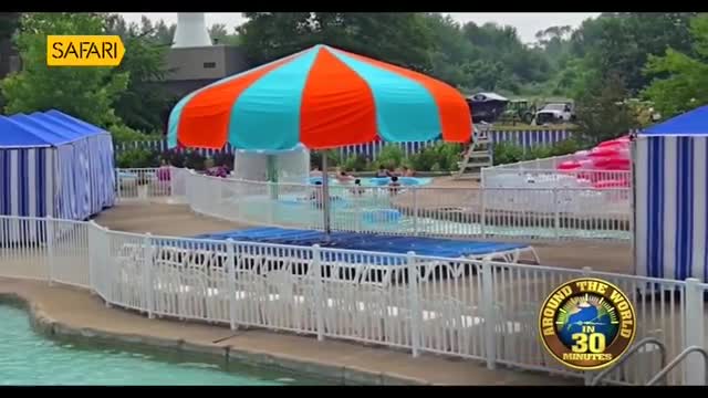 A vibrant orange and turquoise umbrella shades a pool area where a few people are swimming. Beyond the white fence, a blue and white striped tent stands, and a few vehicles are parked in the distance.