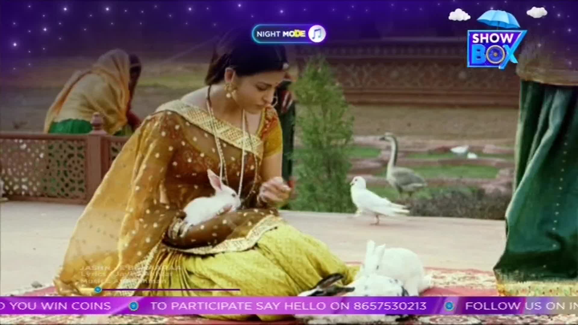A woman in a sheer shawl cradles a white rabbit, while others hop around her. Pigeons and a goose stroll nearby on a stone terrace, under a starry sky, as if part of a scene on the Indian television channel ShowBox.

