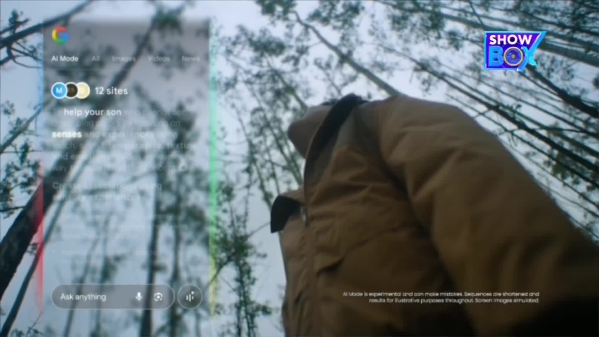 A person in a brown jacket looks up at the sky through a forest of tall, thin trees. Overlayed on the scene is a digital interface, with a "ShowBox" logo visible in the corner.
