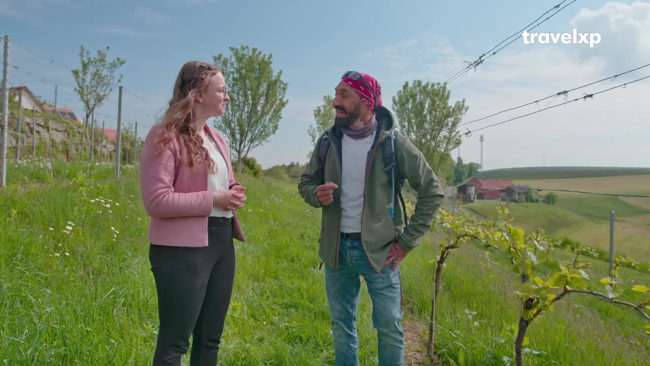 A woman in a pink jacket listens intently as a man in a red bandana gestures, both standing on a path between rows of young grapevines. The scene unfolds under a bright sky, with a backdrop of rolling green hills and a small cluster of buildings.
