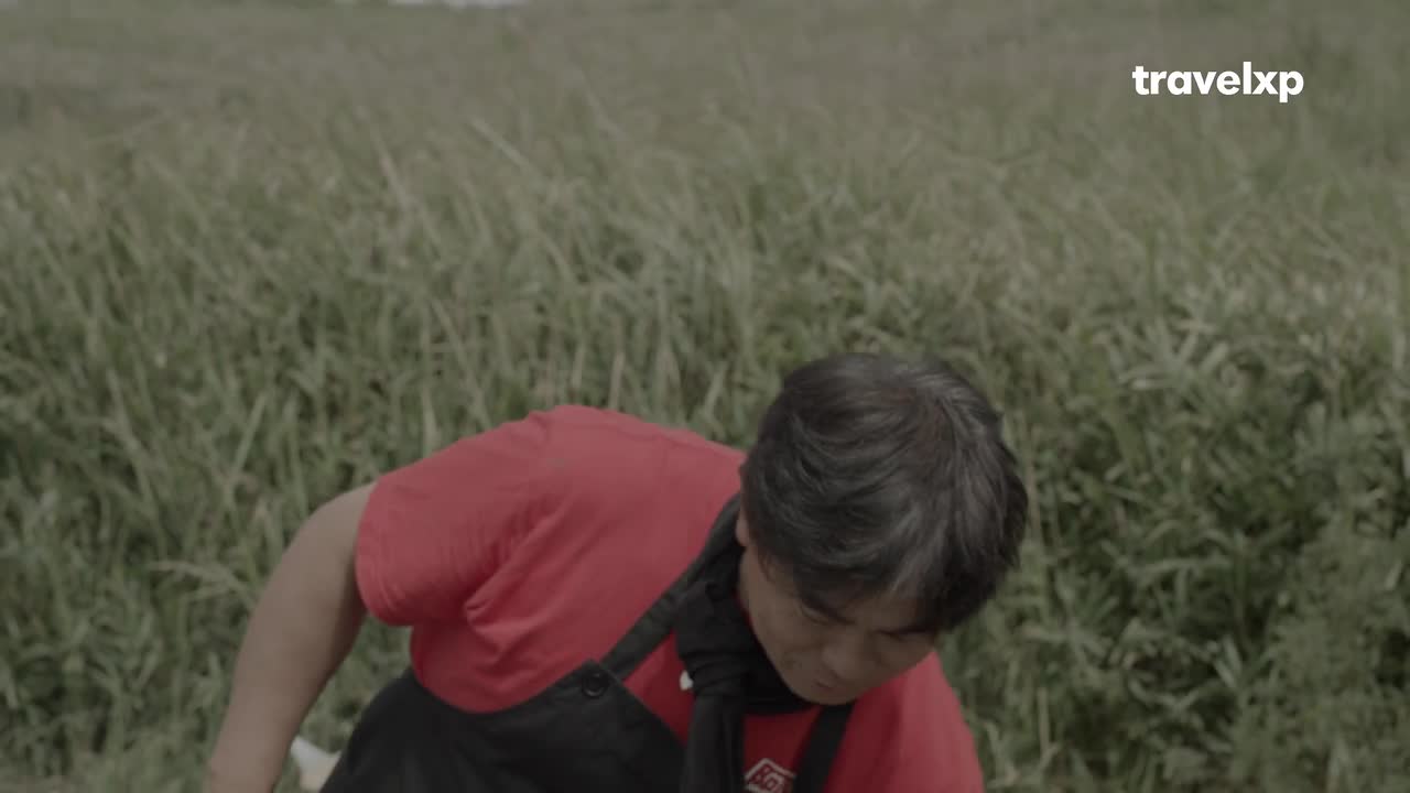 A person in a red shirt is bent over, their gaze fixed downwards. Tall grass surrounds them, and the Travelxp logo is visible in the corner.
