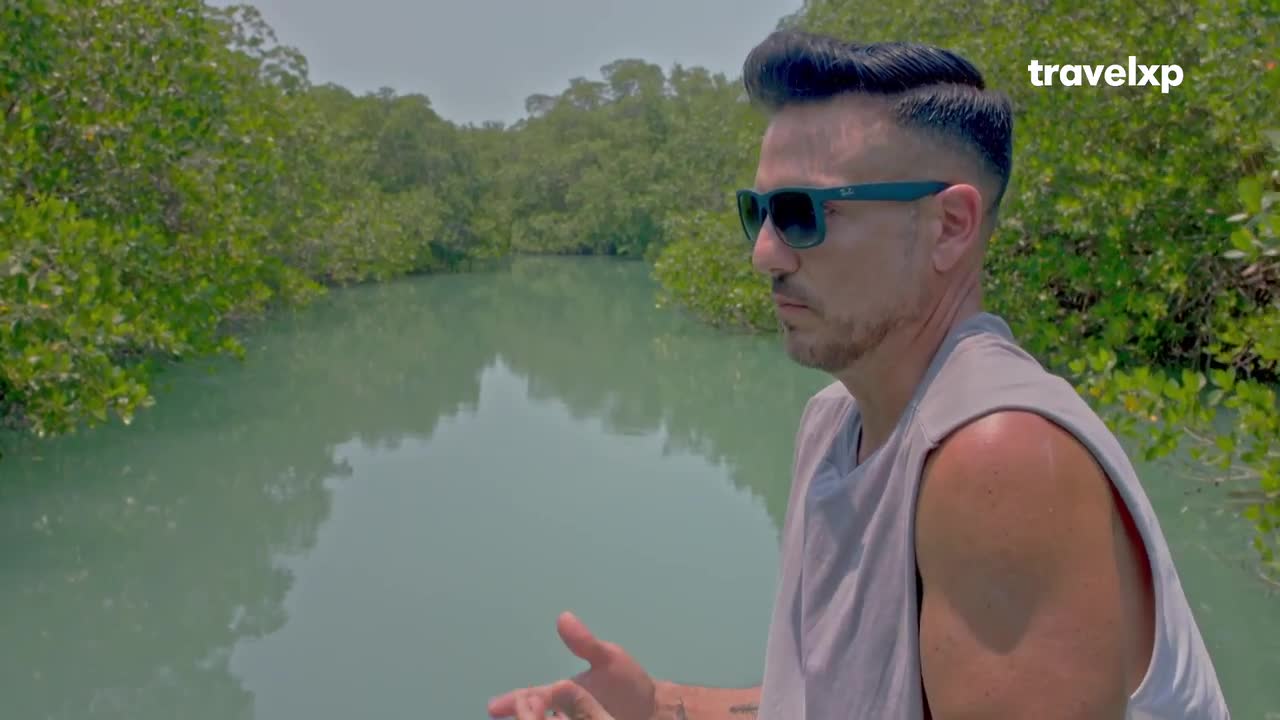 A man in sunglasses looks out over the still, pale green water, with dense mangrove trees lining the banks. The Travelxp logo is visible in the corner, suggesting a scene from India.
