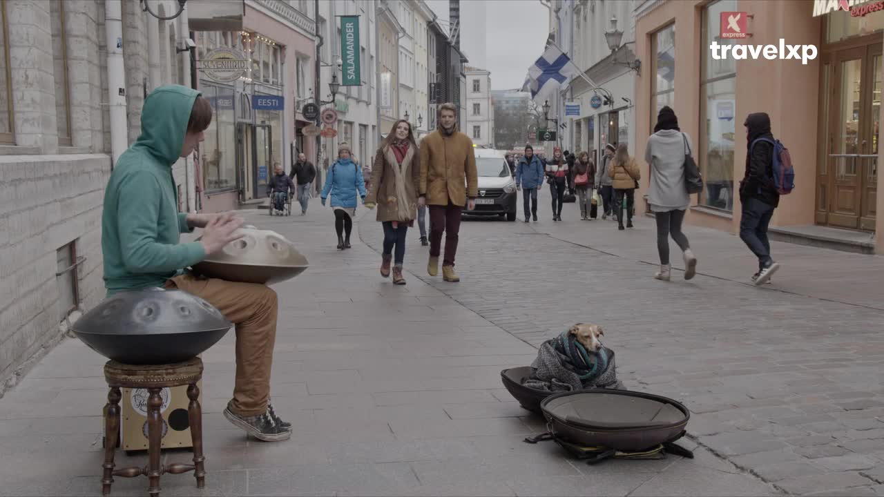 A man in a green hoodie plays a handpan on a cobblestone street. A small dog rests in an open case nearby as people stroll past.