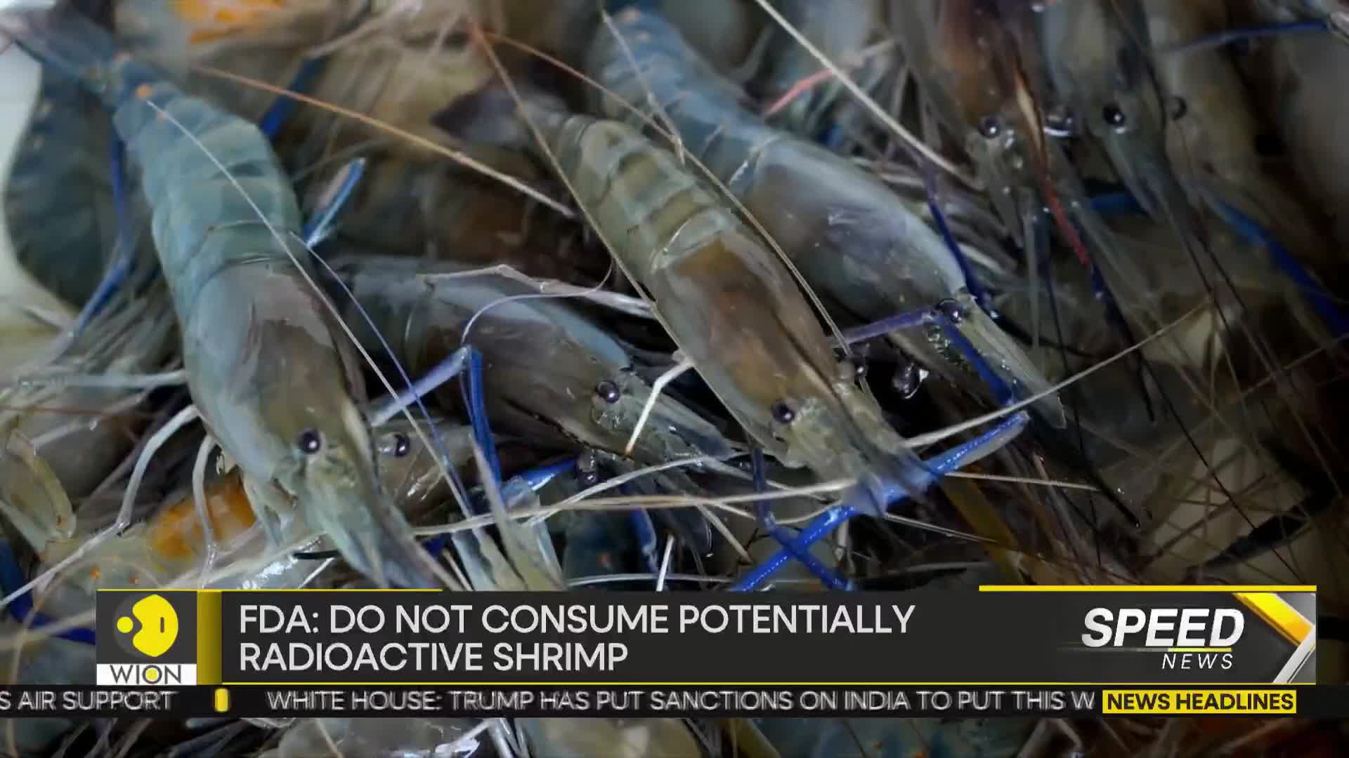 A pile of large, blue-legged shrimp fills the frame. The news ticker from WION flashes a warning about potentially radioactive shrimp.
