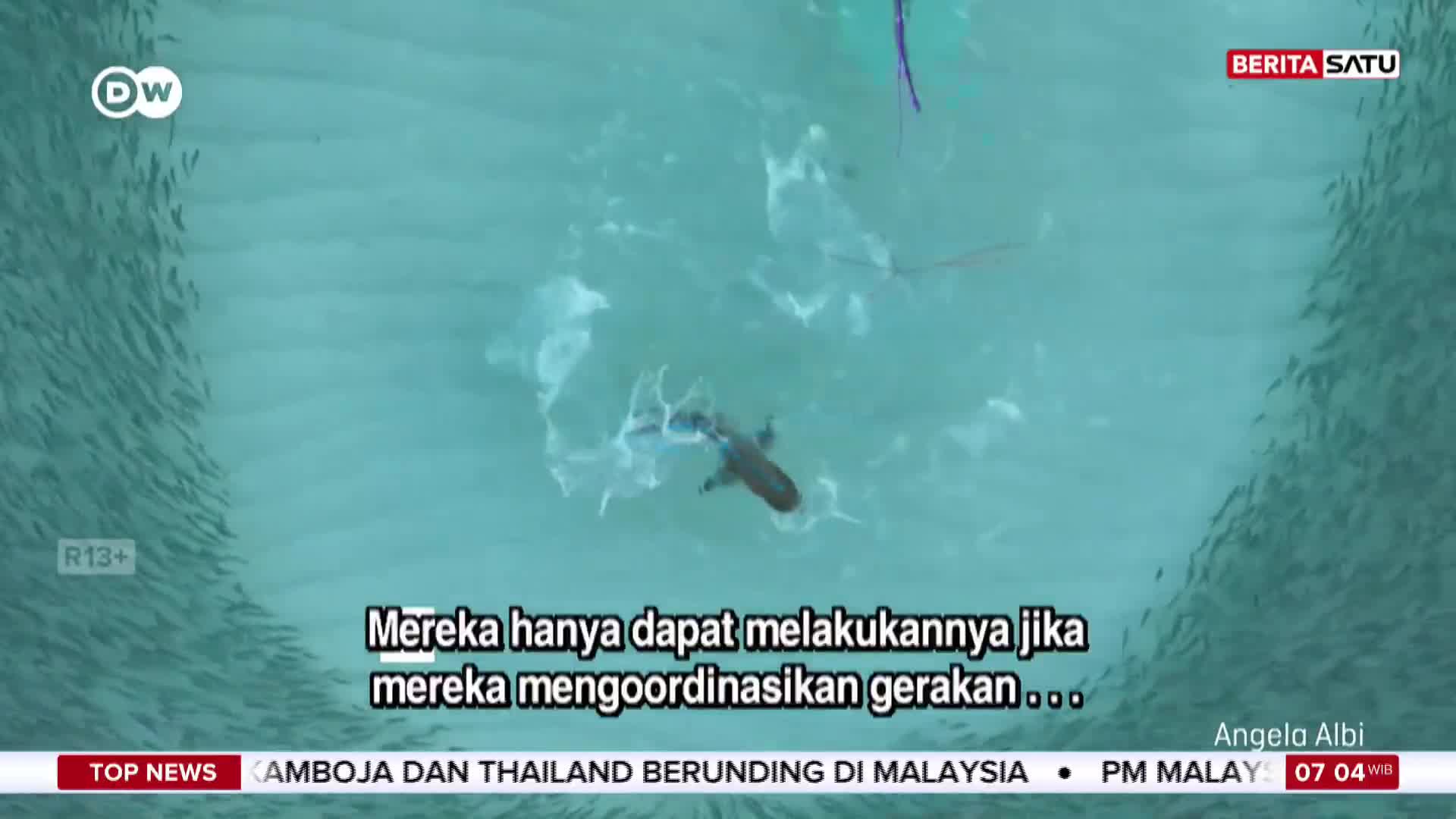 A dark shape, possibly a fish, swims through the water, surrounded by smaller, shimmering creatures. The BeritaSatu English broadcast shows the scene, with text in Indonesian at the bottom.
