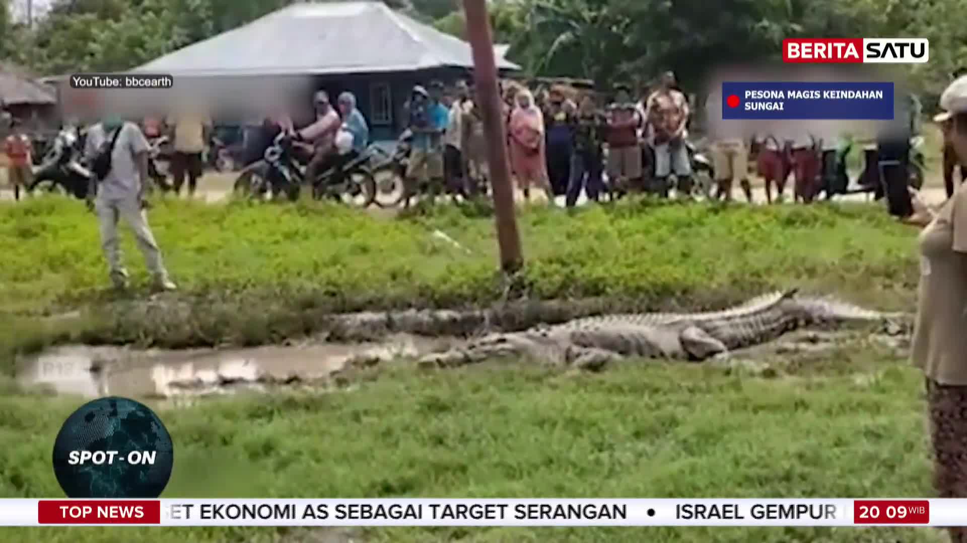 A large crocodile rests in the muddy bank of a waterway, its scales a rough texture against the green grass. A crowd of people on motorcycles and on foot gathers nearby, watching the reptile.