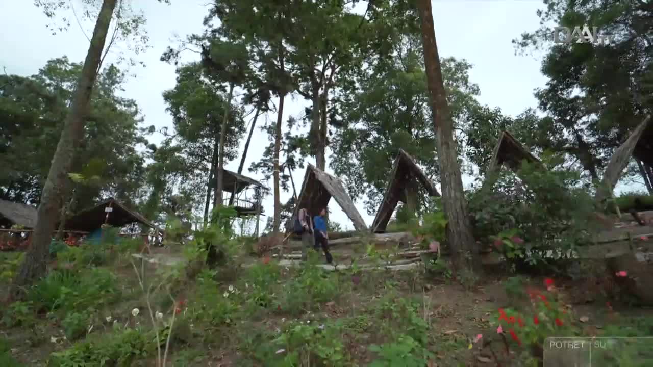 A couple walks up the stone steps toward a wooden shelter, framed by tall trees. The scene, likely in Indonesia, is being filmed by DAAI TV.
