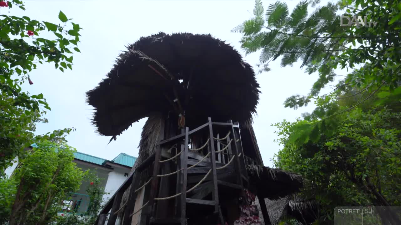 A thatched-roof structure, built with wooden supports and rope railings, rises from the lush Indonesian greenery. The DAAI TV logo is visible, and the sky is overcast.
