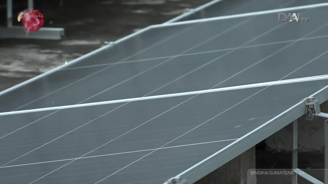 A red, textured object drifts through the air above rows of solar panels. The DAAI TV logo is visible in the upper right corner. A red, textured object drifts through the air above rows of solar panels. The DAAI TV logo is visible in the upper right corner.