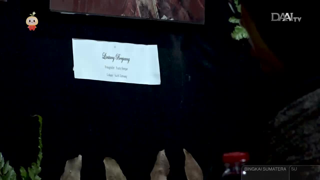 A sign with elegant script hangs on a dark background, its title "Lintang Bayang" clearly visible. Below it, smaller text details the photographer and location, "Bingkai Sumatera." A sign with elegant script hangs on a dark background, its title "Lintang Bayang" clearly visible. Below it, smaller text details the photographer and location, "Bingkai Sumatera."