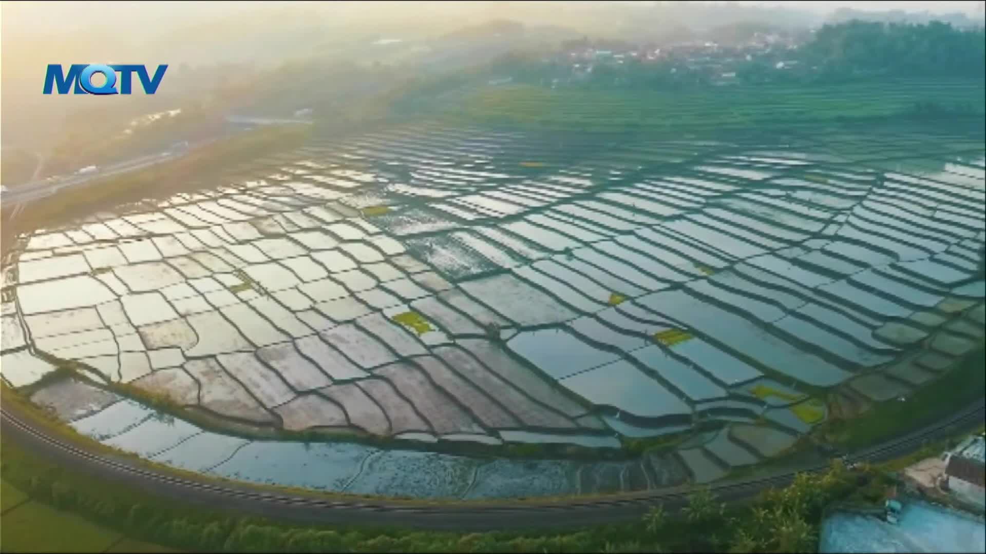The Indonesian landscape is a patchwork of flooded rice paddies, reflecting the sky. MQTV's logo sits in the corner as the sun rises, casting a warm glow over the terraced fields.
