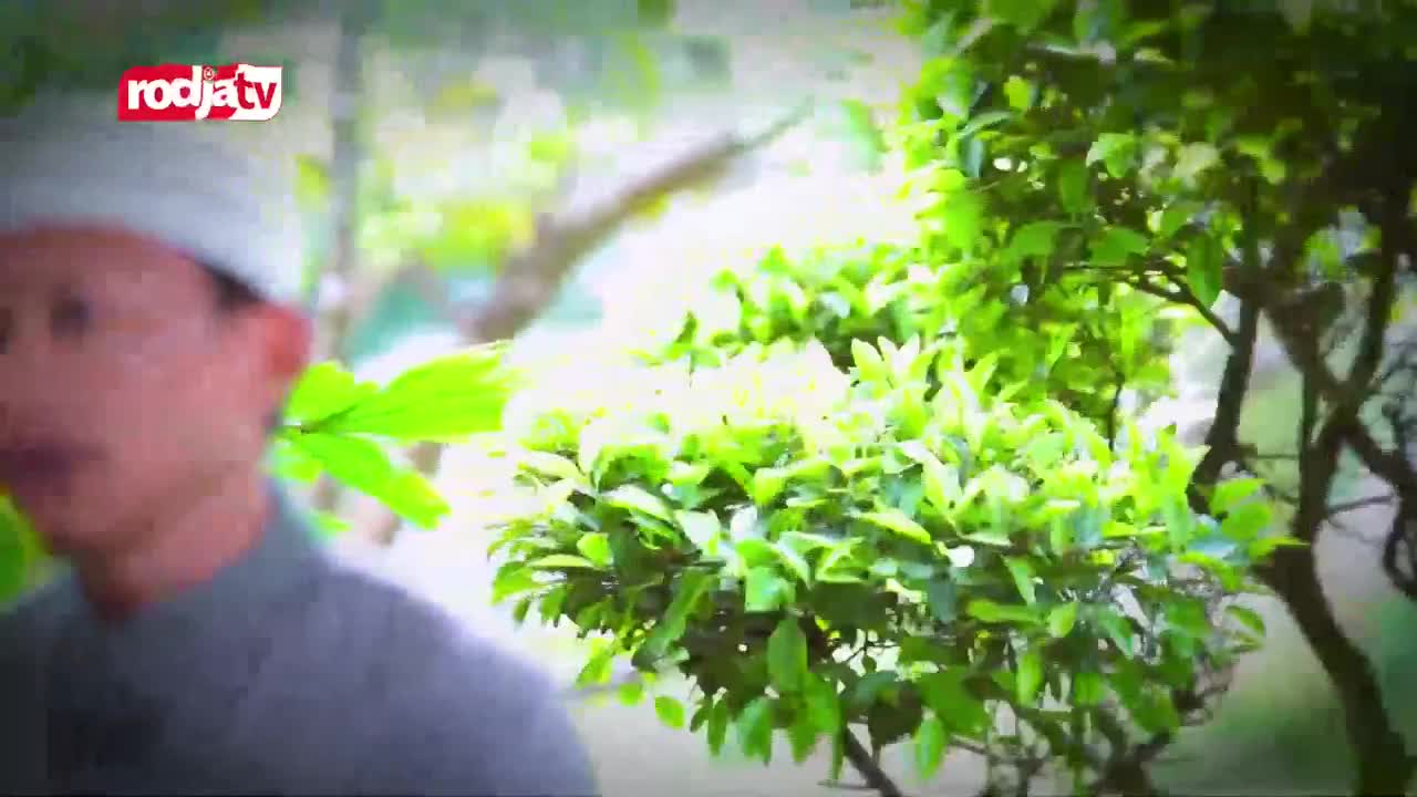 A man in a white cap is speaking, his face partially out of focus. Lush green foliage fills the frame, with the Rodja TV logo in the corner.
