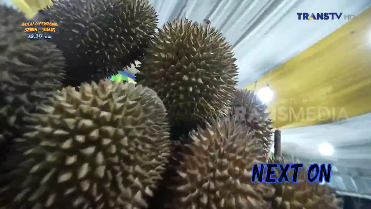 A pile of durians sits under bright lights, their spiky exteriors catching the glow. The Trans TV logo is visible in the upper right corner, alongside text indicating a program starting soon.