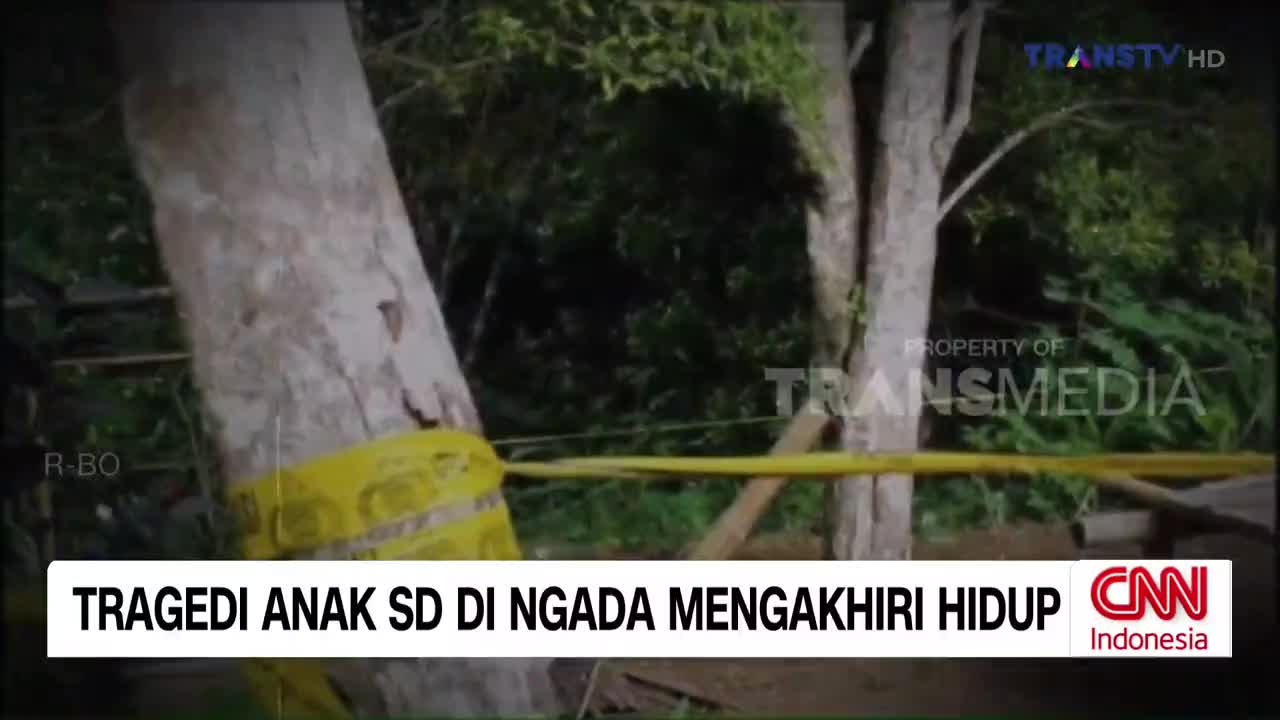 Yellow police tape is wrapped around a tree trunk, its bright color a stark contrast to the muted greens of the surrounding foliage. A wooden post stands nearby, also partially obscured by the tape.