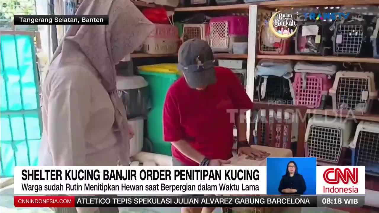 A woman in a hijab stands next to a man in a red shirt and baseball cap, both looking down at a surface. Behind them, shelves are packed with rows of colorful pet carriers, a testament to the busy cat shelter in Tangerang Selatan, Banten.