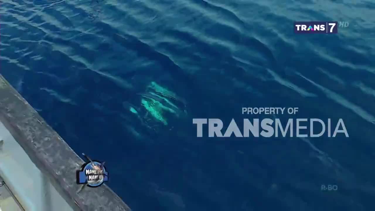 The deep blue water is rippling gently, and beneath the surface, a flash of green hints at something moving. This is a broadcast from Trans7 in Indonesia, and the camera is positioned on a boat.
