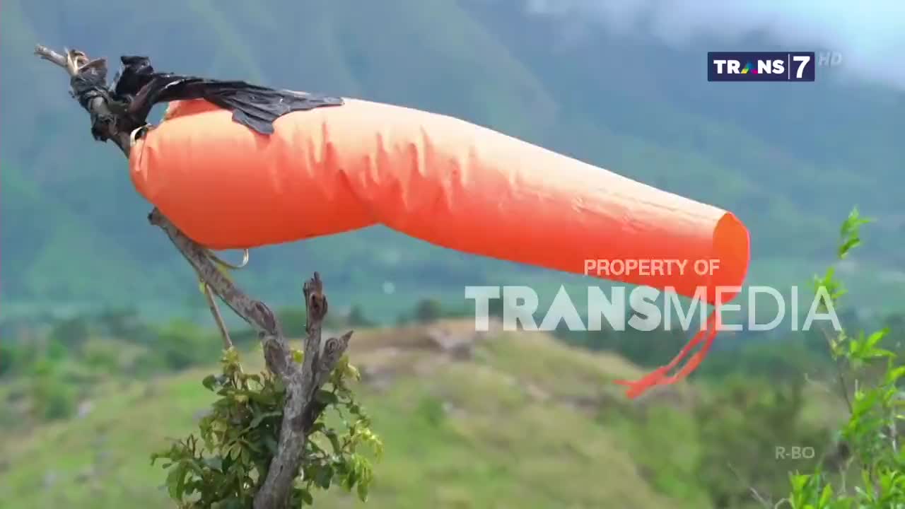 An orange windsock, mounted on a dead branch, is stretched out by the breeze. The Trans7 logo is visible, likely capturing the scene in Indonesia.
